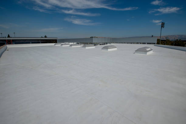 Best Roof Ventilation Installation  in Bloomington, IL